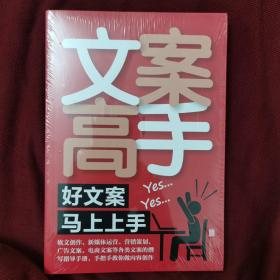 畅销书：《文案高手：好文案马上上手》