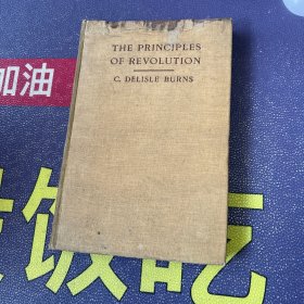 The principles of revolution（革命的原则）1920年