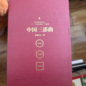 中国震撼中国触动中国超越（张维为中国三部曲）