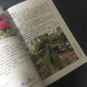 药用植物标本采集与制作技术