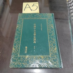 中国中古文学史讲义——清末民初文献丛刊 未开封