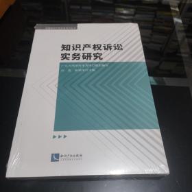 知识产权诉讼实务研究