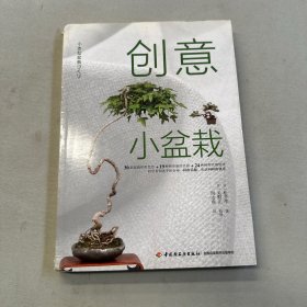 创意小盆栽