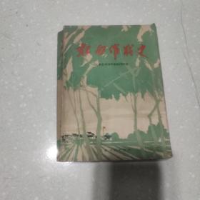 虹南作战史