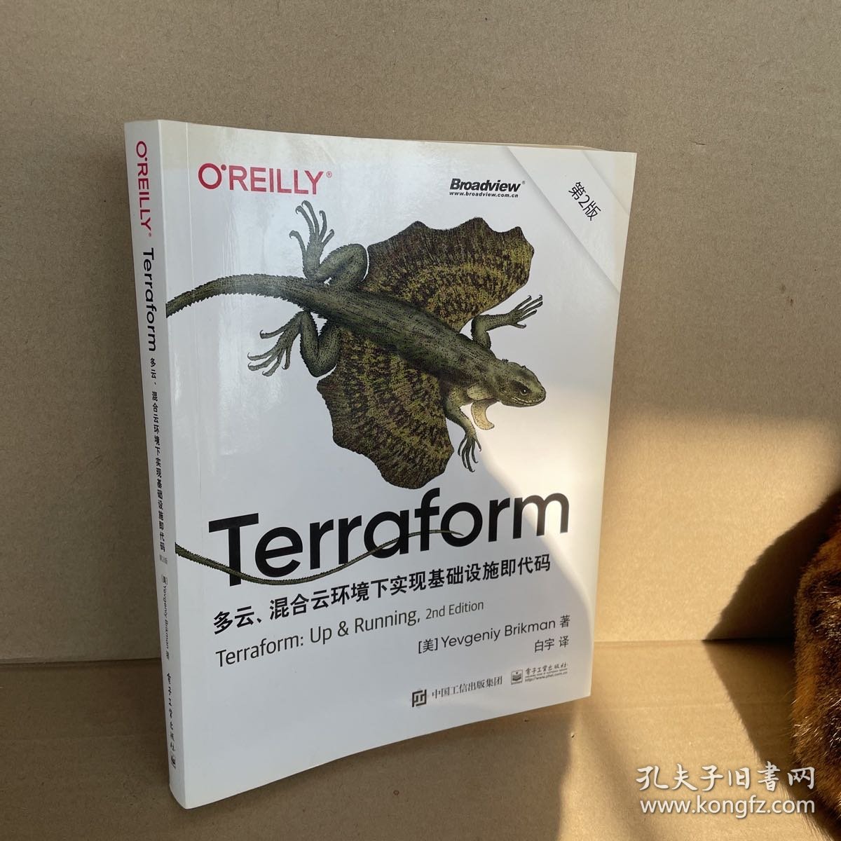 Terraform：多云、混合云环境下实现基础设施即代码（第2版）