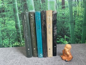 苏珊 桑塔格文集（共六册，《同时：随笔与演说》《火山情人：一个传奇》《论摄影》《在美国》《重生：苏珊桑塔格日记与笔记（1047-1963）》《心为身役：苏珊桑塔格日记与笔记（1964-1980）》