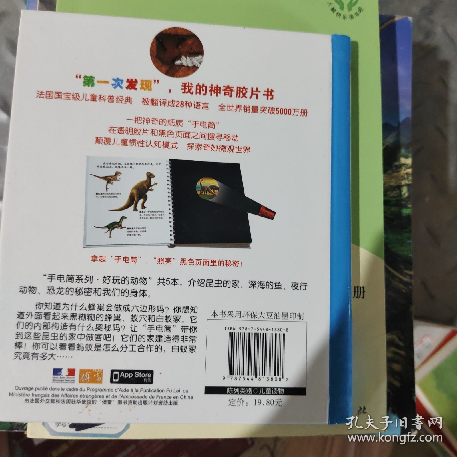 手电筒系列·好玩的动物·第一次发现丛书·昆虫的家