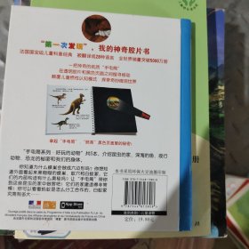 手电筒系列·好玩的动物·第一次发现丛书·昆虫的家
