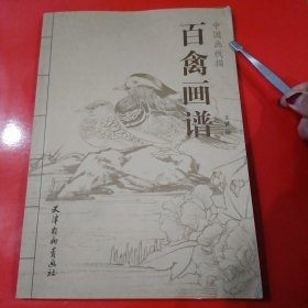 SJ0032 百禽画谱 中国画线描