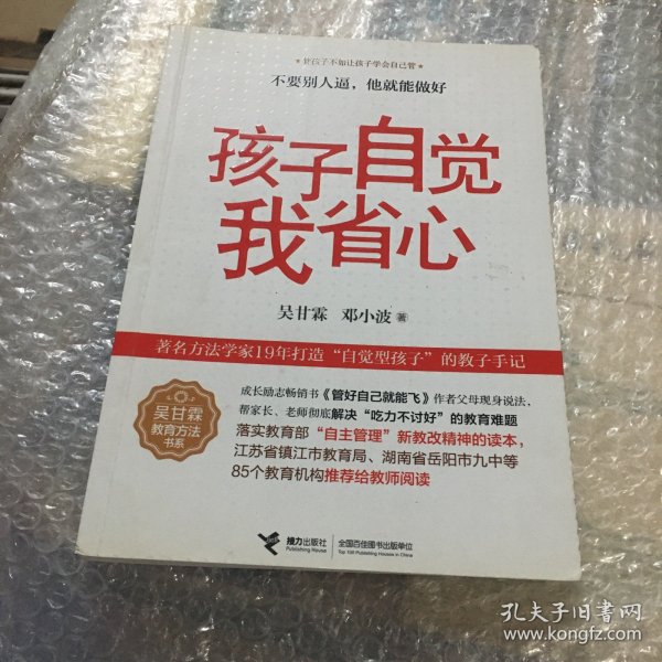 吴甘霖教育方法书系：孩子自觉我省心