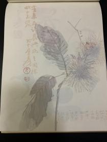 花箋精品 王树村珍藏