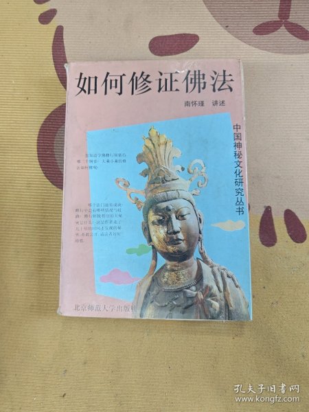 中国神秘文化研究丛书如何修证佛法