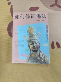 中国神秘文化研究丛书如何修证佛法