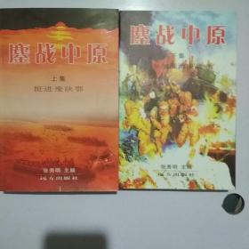 鏖战中原 上下 册