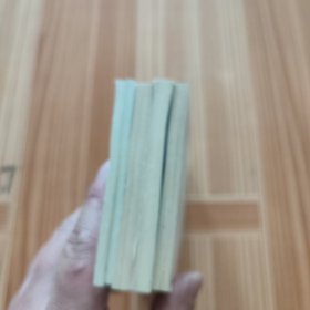 连环画 杨家将 五册全(杨业归宋、杨七郎打擂、双龙会、李陵碑、智审潘仁美)