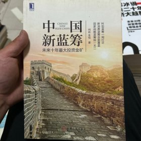 中国新蓝筹：未来十年最大投资金矿