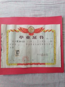 1962年毕业证书