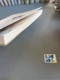 新卢浮宫之战：卢浮宫浴火重生记