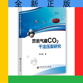 頁巖氣藏CO2干法壓裂研究