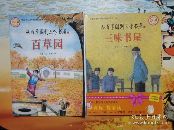 中国百年文学经典图画书.第一辑：荷塘月色