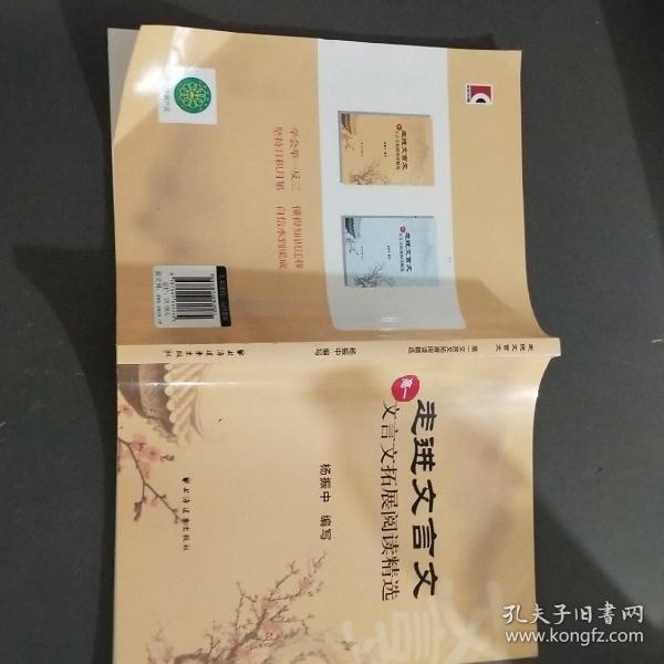 走进文言文：文言文拓展阅读精选（高一）