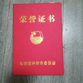 模范团干部荣誉证书，2009年