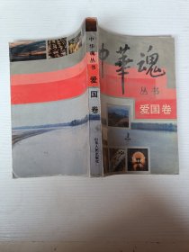 中華魂叢書愛國卷