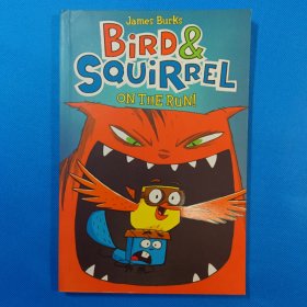 Bird&SquirrelontheRun