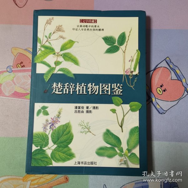 楚辞植物图鉴