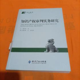 知识产权审判实务研究