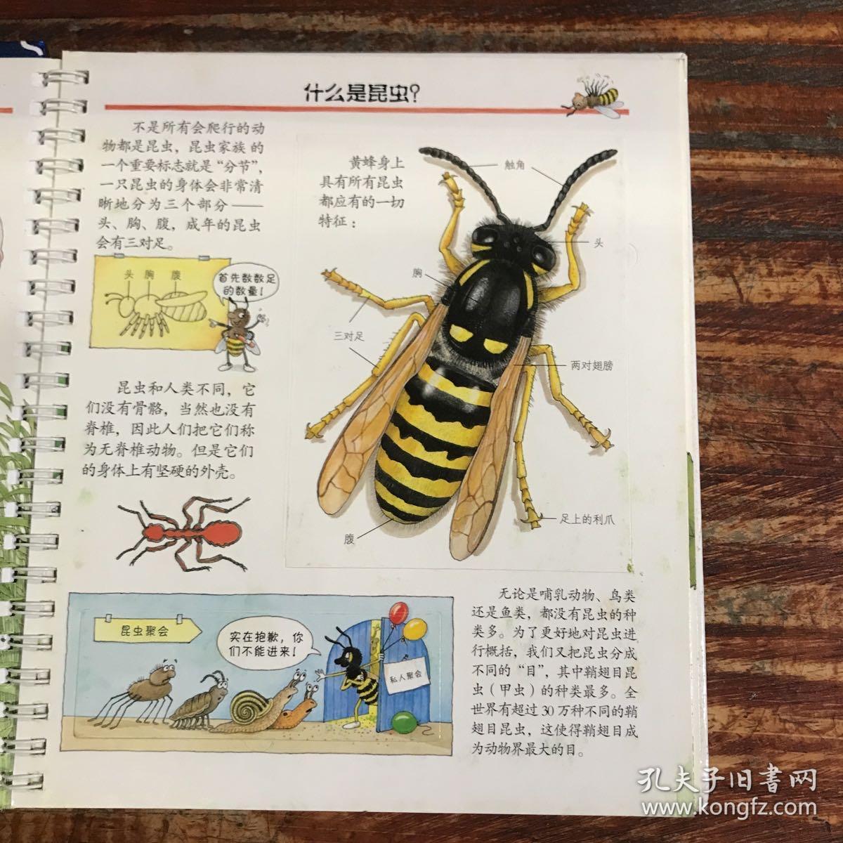 “妙趣科学”立体翻翻书——昆虫