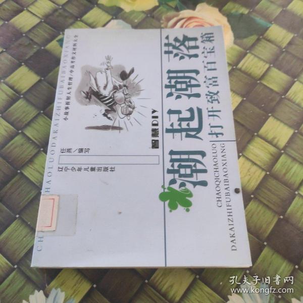 潮起潮落：打开致富百宝箱——智慧DIY