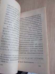 芝麻与百合