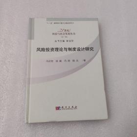 风险投资理论与制度设计研究