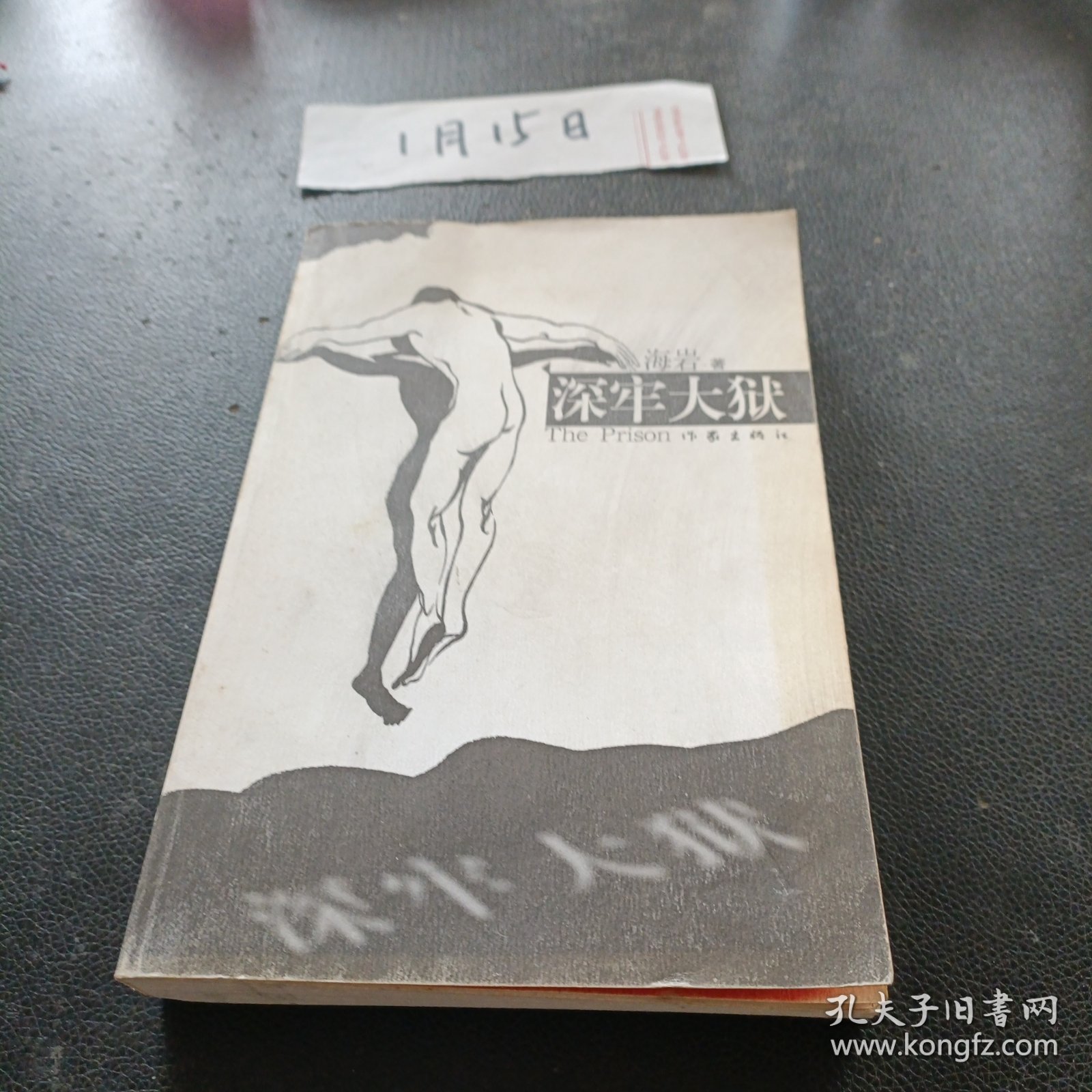 深牢大狱：海岩最新力作