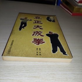 真正大成拳