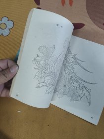 花卉畫譜