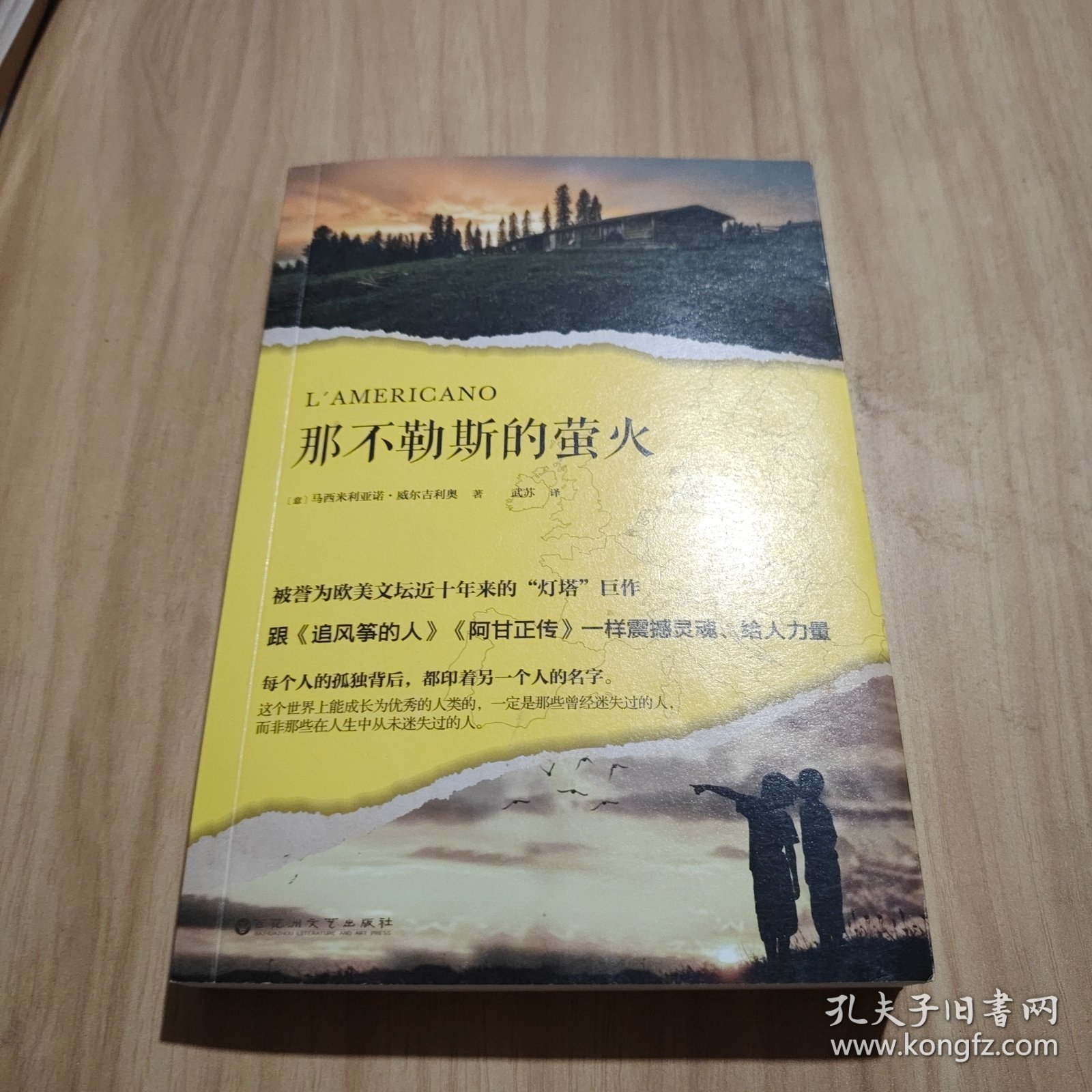 那不勒斯的萤火（被誉为欧美文坛近十年来的“灯塔”巨作，跟《追风筝的人》《阿甘正传》一样震撼灵魂、给人力量。）