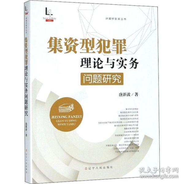 集资型犯罪理论与实务问题研究/律媒桥智库丛书