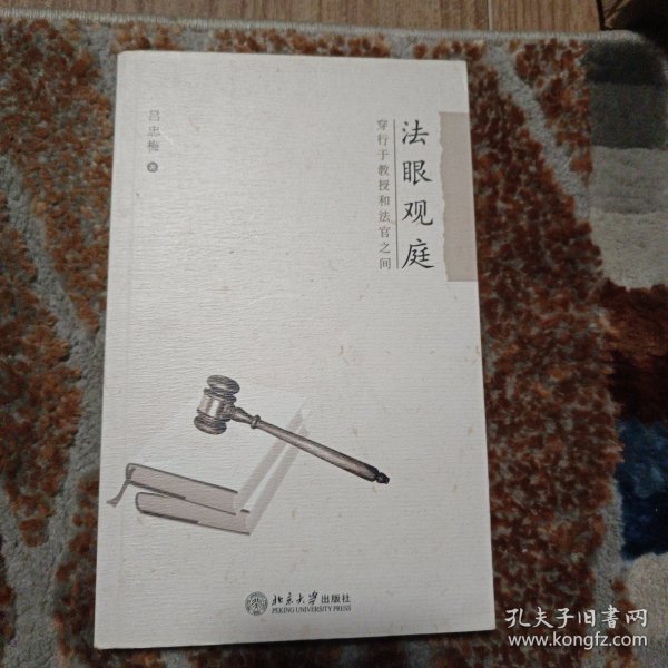 法眼观庭:穿行于教授和法官之间