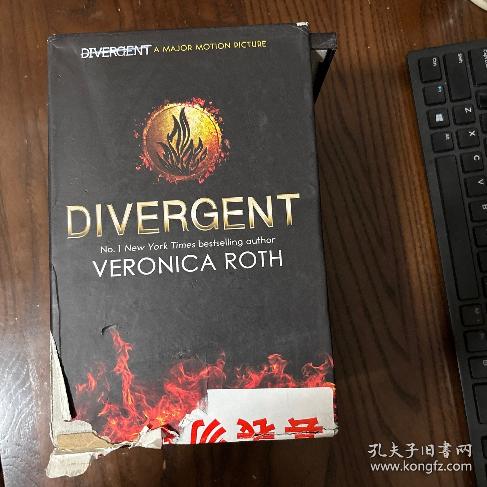Divergent Series Box Set (Books 1-4 Plus World of Divergent)分歧者套装，共4册 英文原版