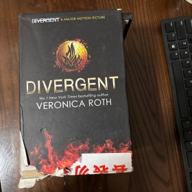 Divergent Series Box Set (Books 1-4 Plus World of Divergent)分歧者套装，共4册 英文原版