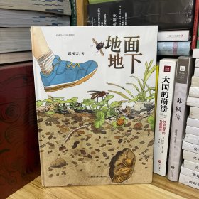 中国原创丰子恺优秀童书奖生态绘本：地面地下（孩子手边靠谱的虫虫图记）*全新塑封未拆