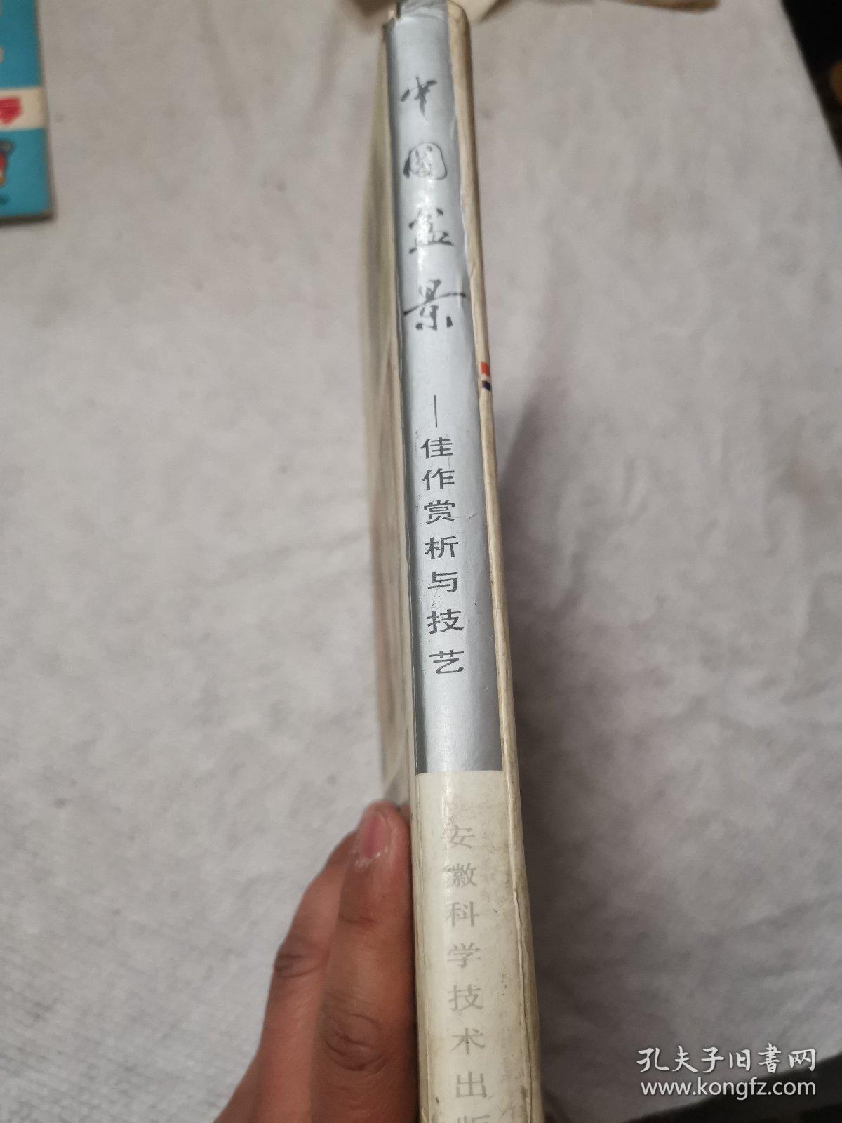 中国盆景佳作欣赏与技艺