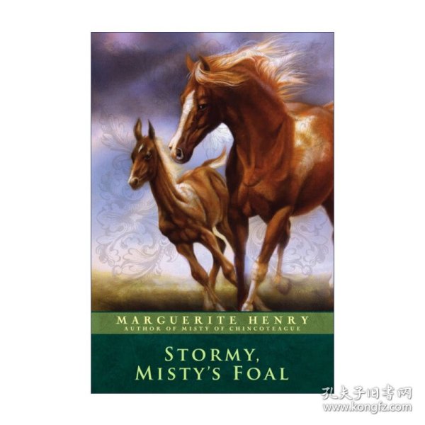 Stormy,Misty'sFoal