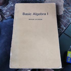 Basic Algebra I