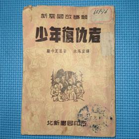 新爱国故事丛书：《少年复仇者》