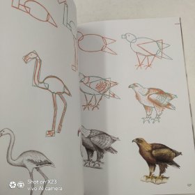 How to Draw: Animals: in simple steps