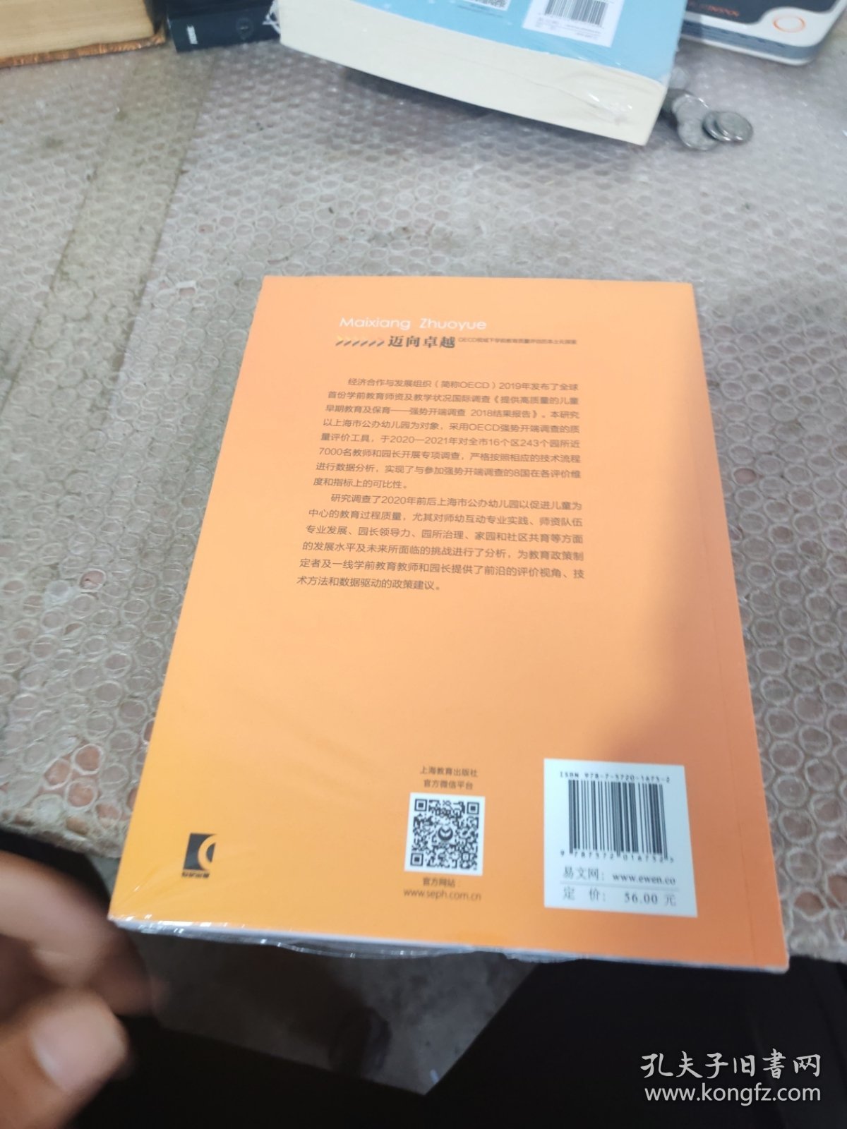 迈向卓越——OECD视域下学前教育质量评估的本土化探索