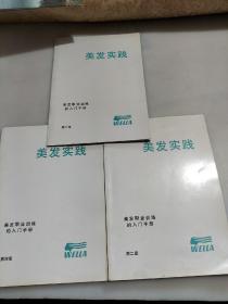 美发实践（第2.4.6章合售）【美发职业训练的入门手册】